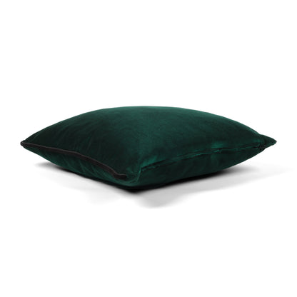 Green Pillow Cover